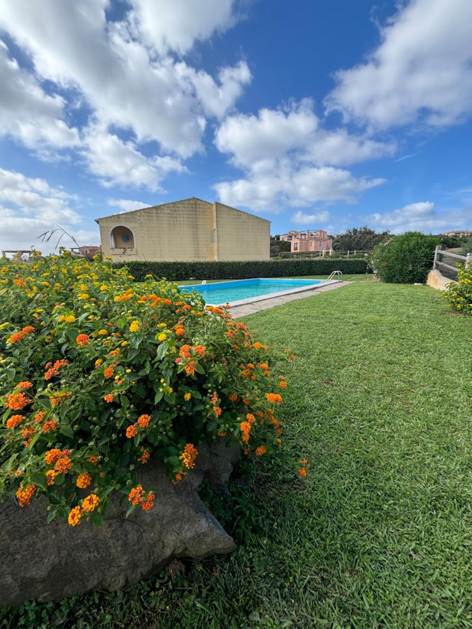 Lady Genny Apartment Stintino Bagian luar foto